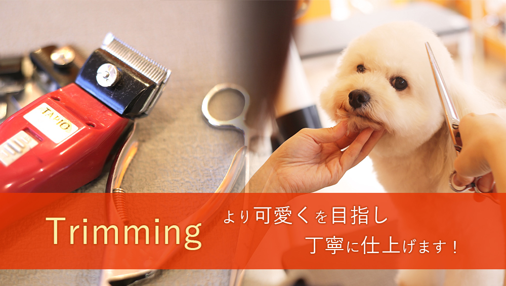 トリミングサロン WOO