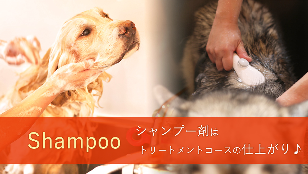 トリミングサロン WOO