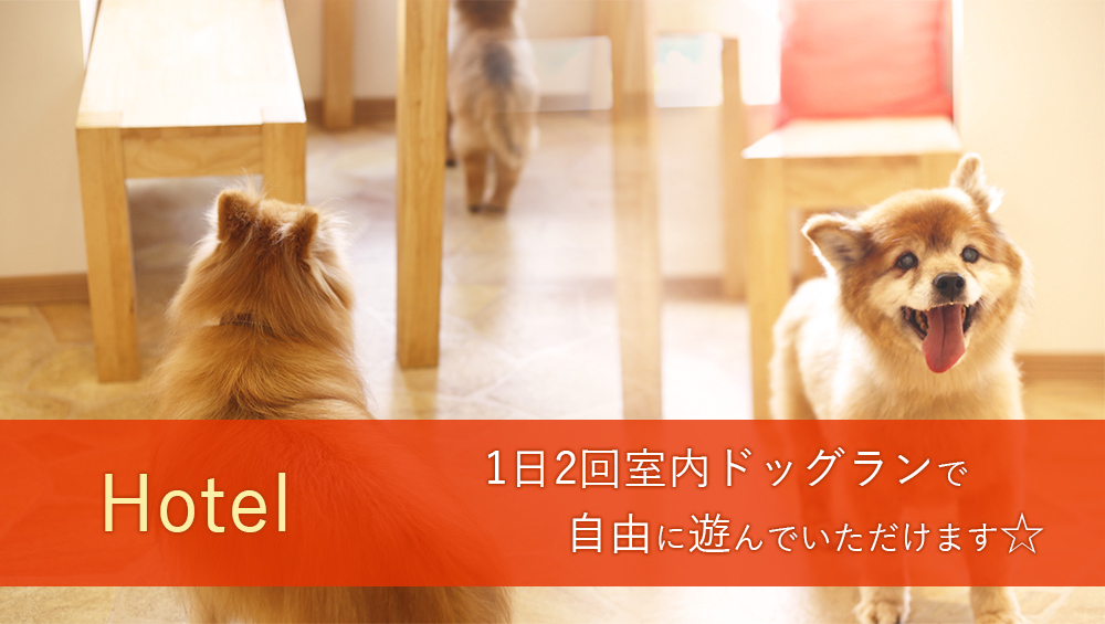 トリミングサロン WOO