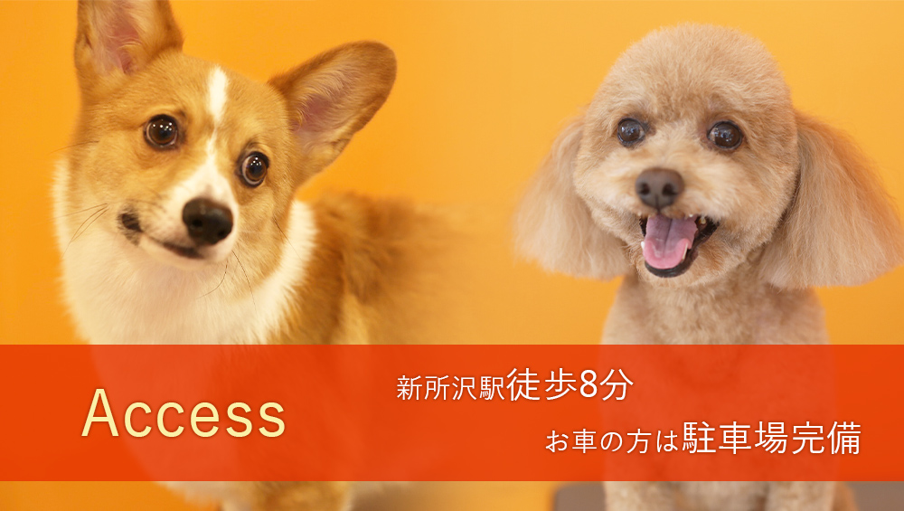 トリミングサロン WOO