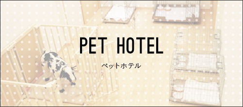 ペットホテル
